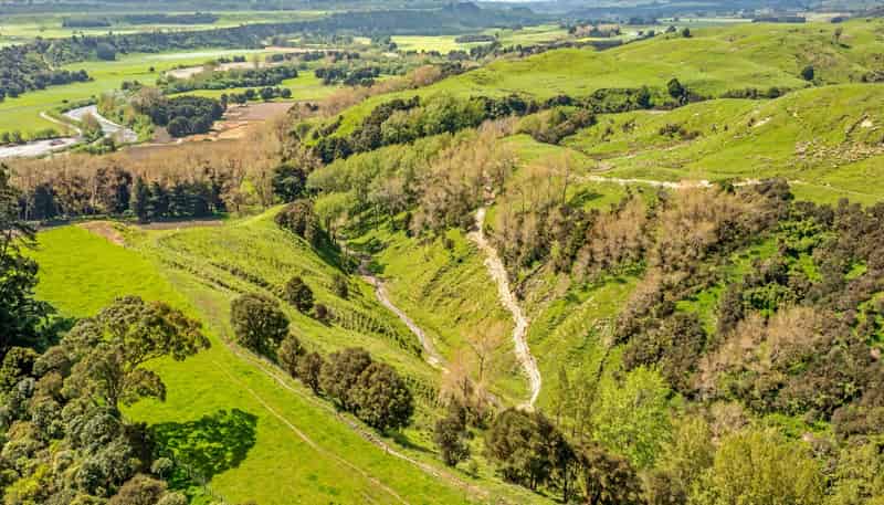 475 Pollock Road, Pohangina