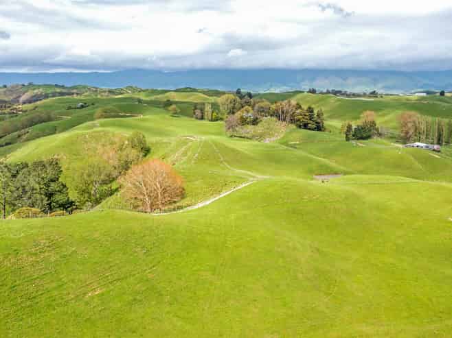 475 Pollock Road, Pohangina