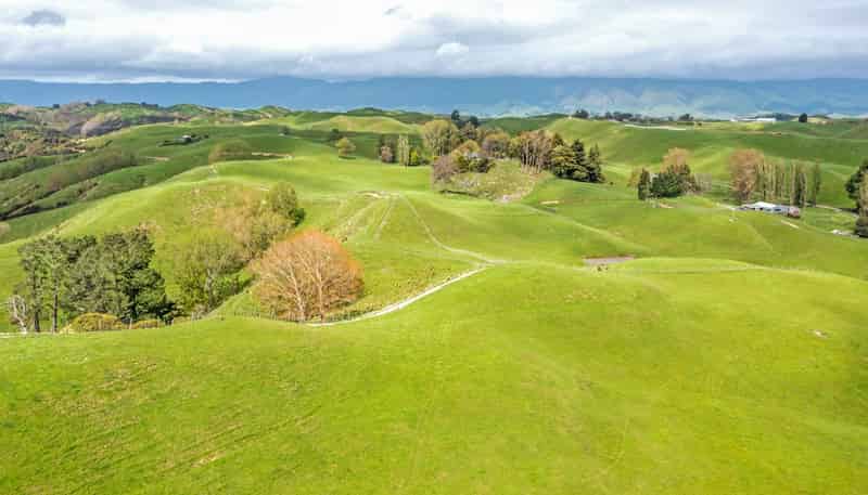 475 Pollock Road, Pohangina