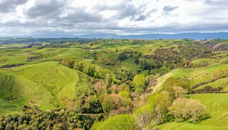 475 Pollock Road, Pohangina