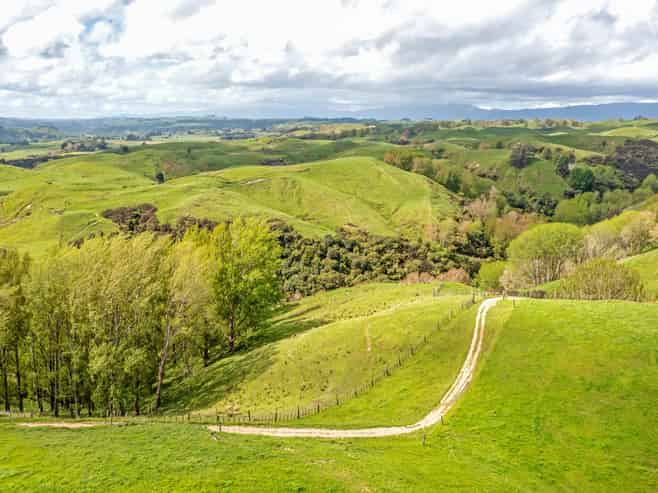 475 Pollock Road, Pohangina