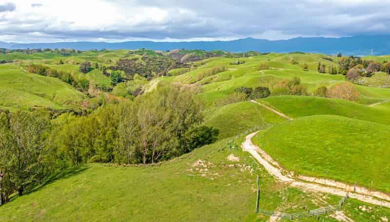 475 Pollock Road, Pohangina