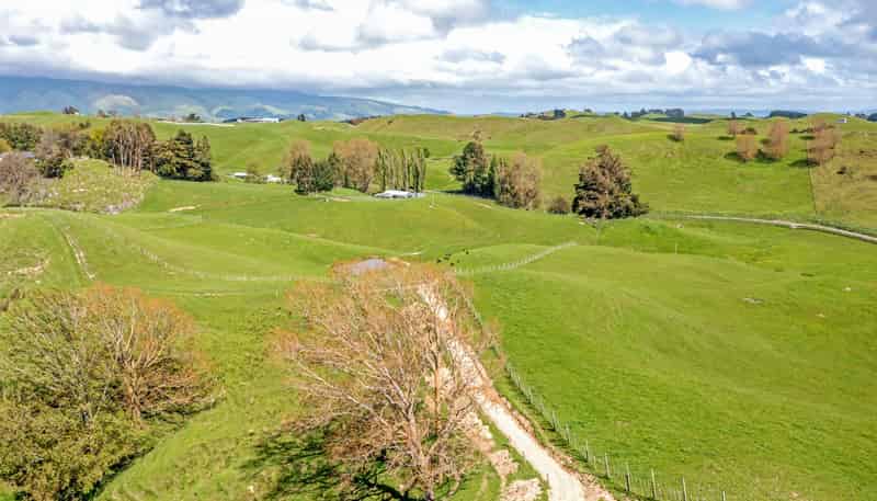475 Pollock Road, Pohangina