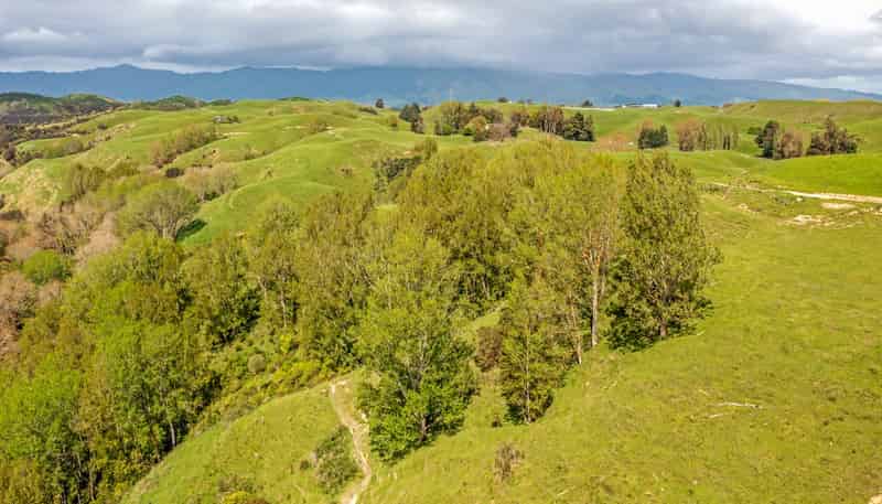 475 Pollock Road, Pohangina