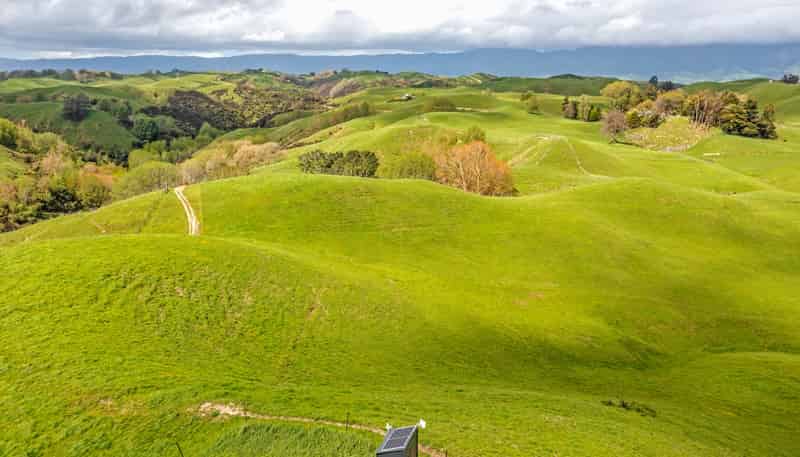 475 Pollock Road, Pohangina