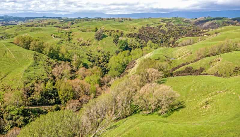 475 Pollock Road, Pohangina