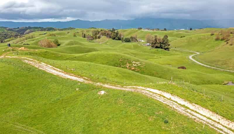 475 Pollock Road, Pohangina