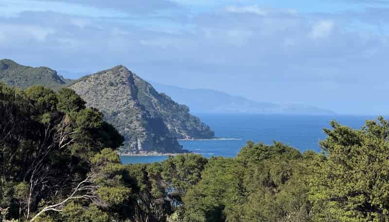 8 Iona Road, Great Barrier Island