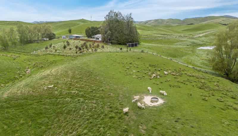 209 Pattison Road, Waipukurau