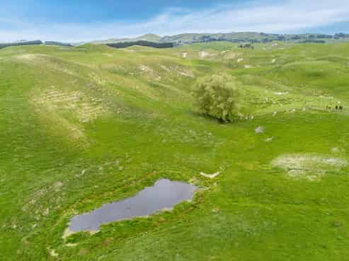 209 Pattison Road, Waipukurau