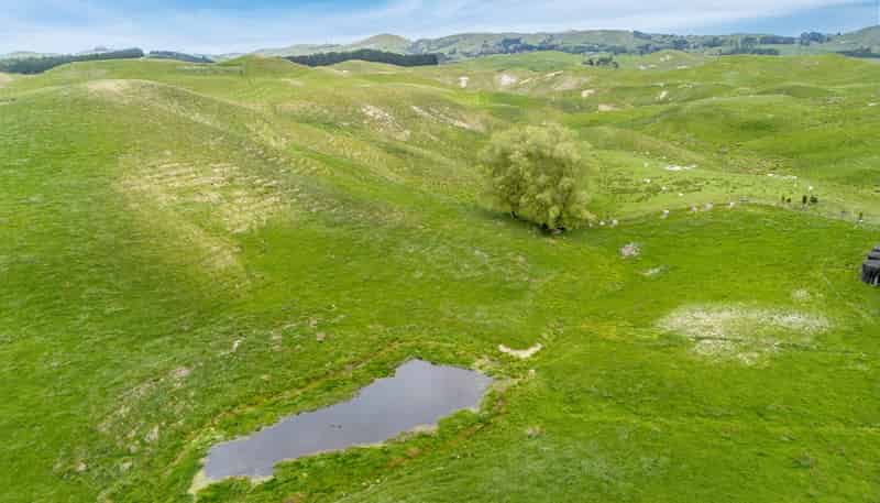 209 Pattison Road, Waipukurau