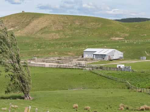 300 Pattison Road, Waipukurau