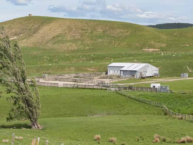 300 Pattison Road, Waipukurau