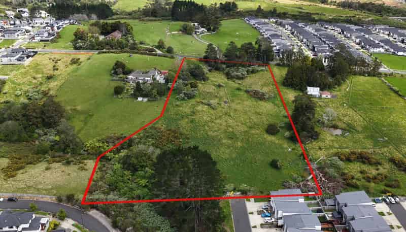 48 Longhorn Drive, Flat Bush