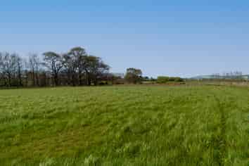 Waikouro Wairo Road, Scotts Gap