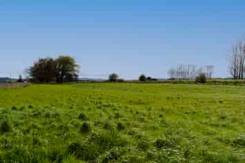 Waikouro Wairo Road, Scotts Gap