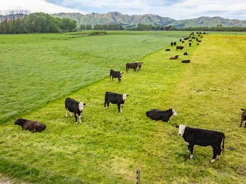 62 Waiau West Road, Cheviot