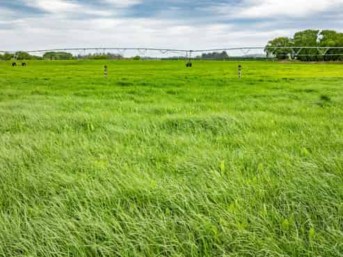 62 Waiau West Road, Cheviot