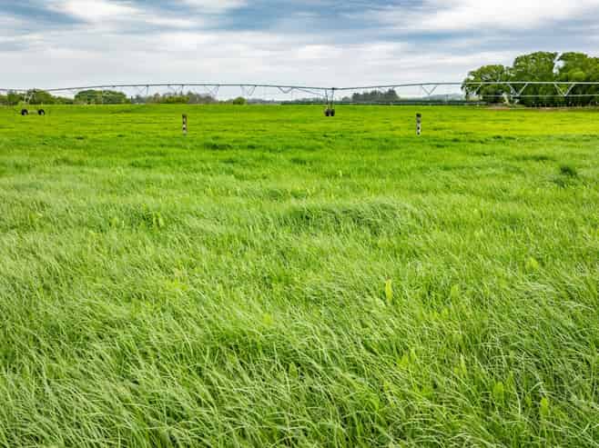 62 Waiau West Road, Cheviot