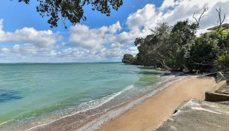 53 St Michaels Avenue, Point Chevalier