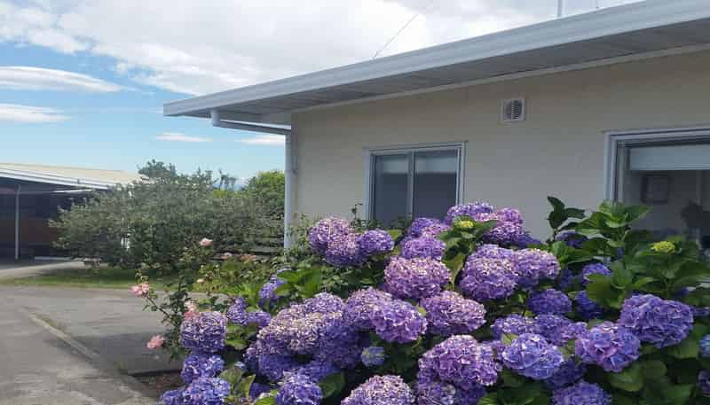 13C Carl Avenue, Havelock North