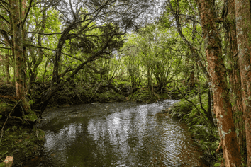 1104 Puketotara Road, OKAIHAU