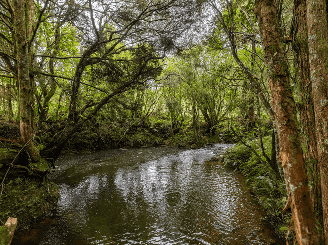 1104 Puketotara Road, OKAIHAU