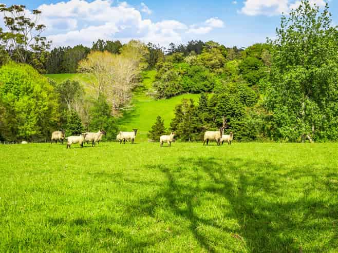 46 Wilson Road, Warkworth