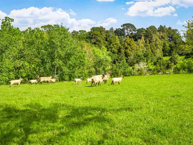 46 Wilson Road, Warkworth