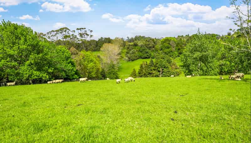 46 Wilson Road, Warkworth