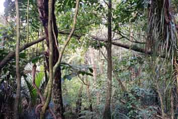 Auckland - Address withheld