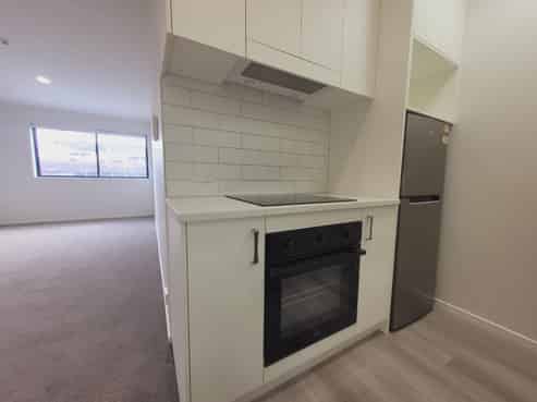 11/12 Nikau Street, Eden Terrace