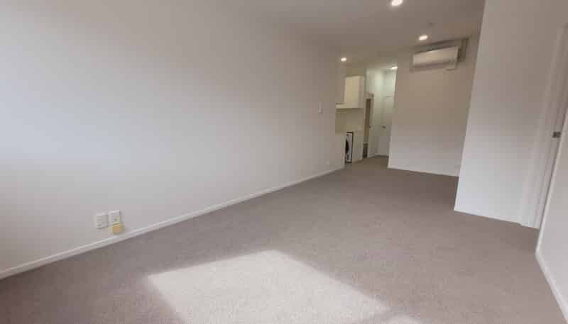 11/12 Nikau Street, Eden Terrace