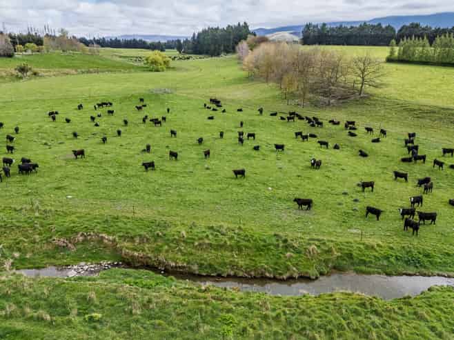 212 Prices Road, Mount Somers