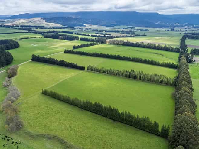 212 Prices Road, Mount Somers