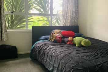 20 Lancaster Street, Dinsdale