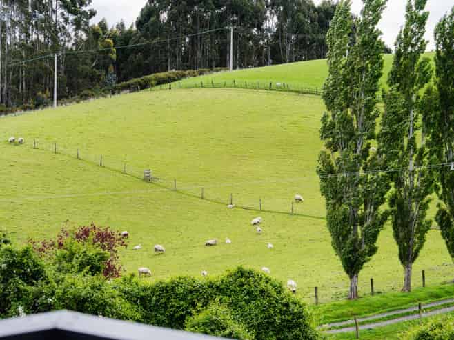 5 Ella Lane, Green Island