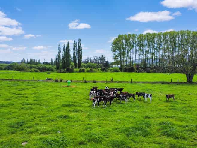 4193 Galatea Road, Galatea