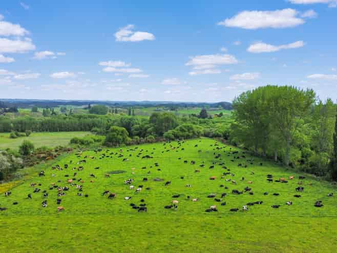 4193 Galatea Road, Galatea