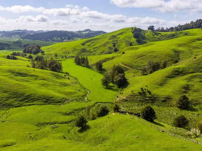 210 Ararua Road, Waiotira