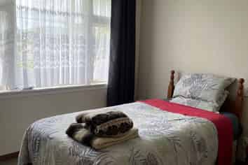 24 Grey Street, Shannon