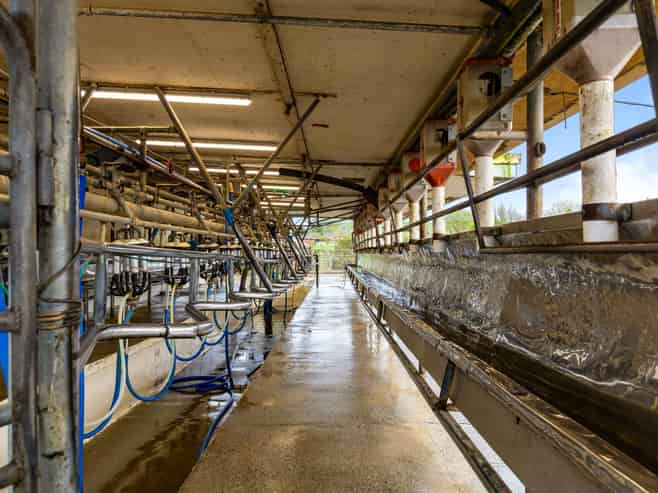 310 Matarawa Road, Kinleith Forest