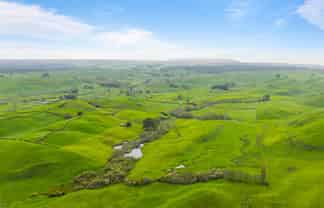 310 Matarawa Road, Kinleith Forest