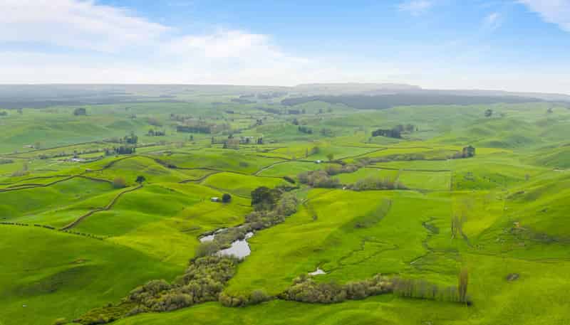 310 Matarawa Road, Kinleith Forest