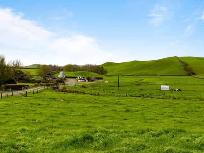 310 Matarawa Road, Kinleith Forest