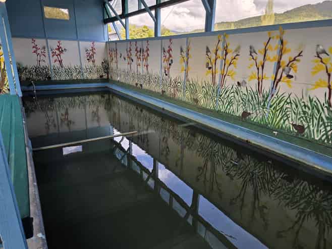 Oasis Motel & Holiday Park