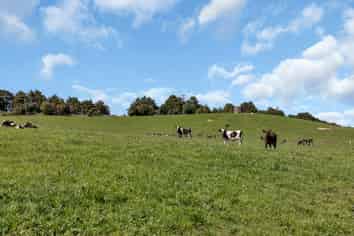  Knight Road, Ruatangata West