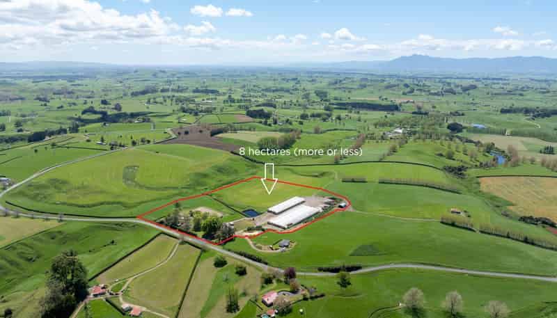 263 Paratu Road, Walton, Matamata