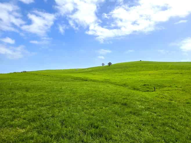 3050 Mititai Road, Dargaville