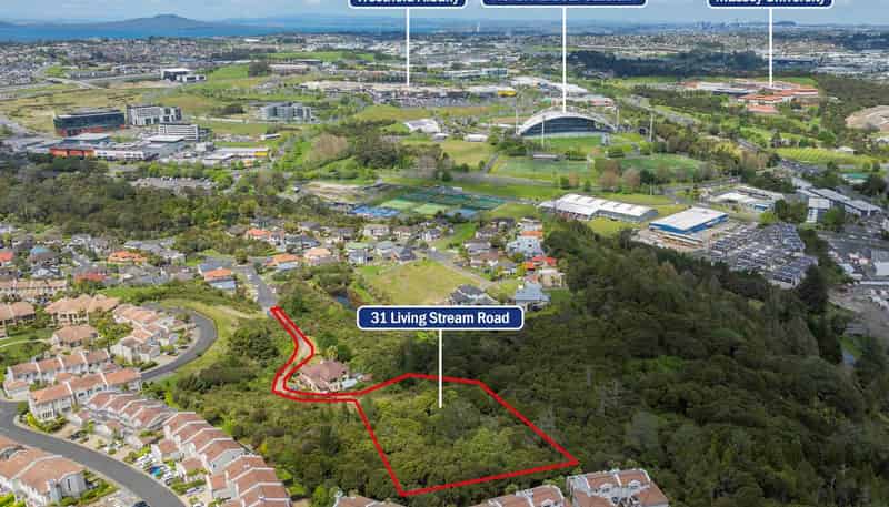 31 Living Stream Road, Albany Heights
